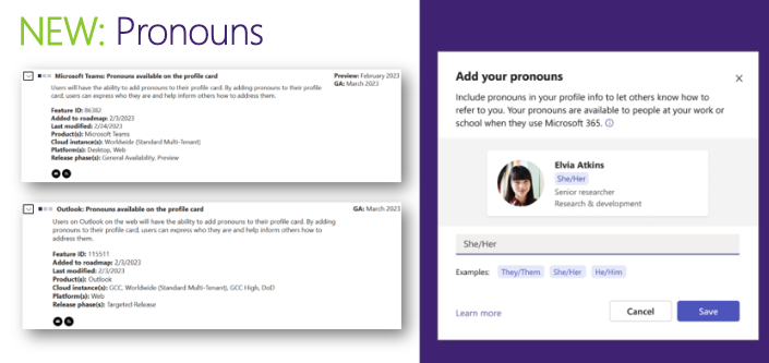 Screenshot of the people/profile/contact card with pronouns enabled.