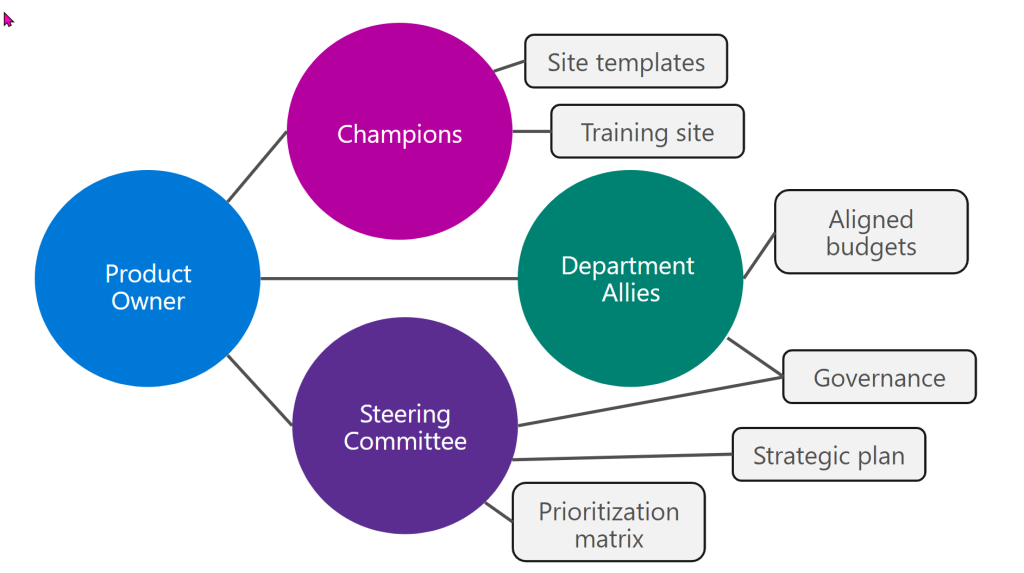 Visualization of complementary structures and roles that go with a steering committee as well as the main focuses of each
